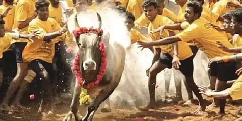 நிறைவுபெற்ற அலங்காநல்லூர் ஜல்லிக்கட்டு: 21 காளைகளை பிடித்து கார்த்திக் என்பவர் முதலிடம்