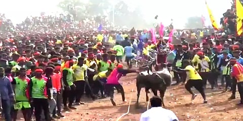 சூளகிரியில் நடைபெற்ற எருதுவிடும் விழா: போட்டிபோட்டு காளையை அடக்கிய காளையர்கள்