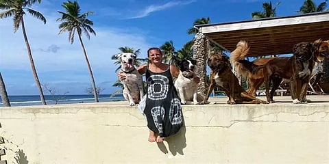 டோங்கோ: சுனாமியில் இருந்து நாய்களை மீட்க முயன்ற போது உயிரிழந்த இங்கிலாந்து பெண்