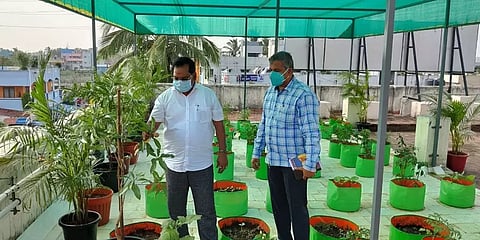 இயற்கை விழப்புணர்வு ஓவியங்கள், மாடித்தோட்டத்தால் அழகுபெற்ற திருவேற்காடு நகராட்சி அலுவலகம்