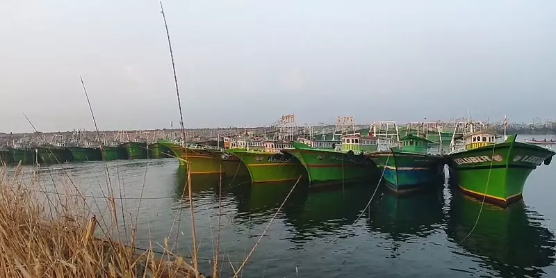 கன்னியாகுமரி: குளச்சல் சுற்றுவட்டார கடல் பகுதிகளில் கடும் பனிப்பொழிவு - மீனவர்கள் அவதி