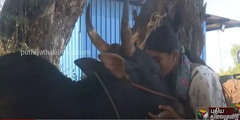 “எனக்கு ஆறுதல் பரிசு வேண்டாம்; தங்கம்தான்..” - ஜல்லிக்கட்டில் சாதித்து காட்டிய யோகதர்ஷினி!