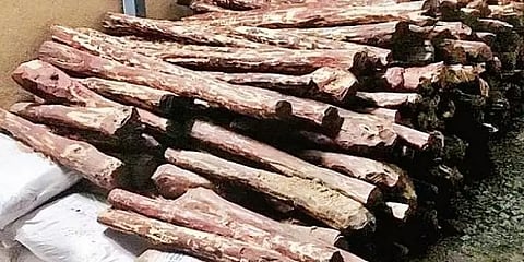 ஆந்திரா: செம்மரக்கட்டை கடத்தல் - 58 பேர் கைது