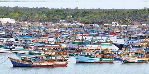 “தமிழக மீனவர்கள் கடல் வளத்தை அழிக்கிறார்கள்” - இலங்கை மீனவர்கள் குற்றச்சாட்டு