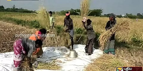 இயற்கை சீற்றங்களை வென்று மகசூல் தந்த 'நெல் ஜெயராமனின்' 100 பாரம்பரிய நெல் வகைகள்