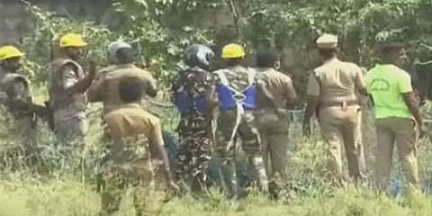 திருப்பூரை அச்சுறுத்திய சிறுத்தை சிக்கியது