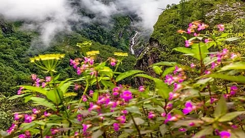 நந்தா தேவி பூங்கா