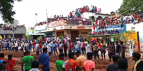 சீறிப்பாய்ந்த காளைகள்; சினம் கொண்டு அடக்கிய காளையர் - இது பாலக்கோடு மஞ்சு விரட்டு