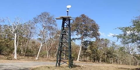 முதுமலை வனப்பகுதியில் அதிநவீன தொழில்நுட்பத்தில் தானியங்கி கண்காணிப்பு கேமராக்கள்