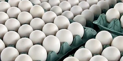 முட்டை விலை ஒரே நாளில் 20 காசு உயர்வு