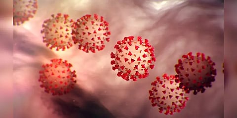 இந்தியா: 1.72 லட்சம் பேருக்கு கொரோனா பாதிப்பு; ஒரேநாளில் 1,008 உயிரிழப்பு