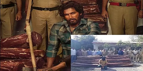 'புஷ்பா' பட பாணியில் செம்மரக்கட்டை திருடிய நபர் கைது