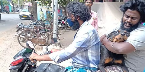 அம்பத்தூர்: வீட்டுக்குள் நுழைந்த பாம்பு - தடுக்க முயன்று கடிபட்டு உயிரிழந்த வளர்ப்பு நாய்!