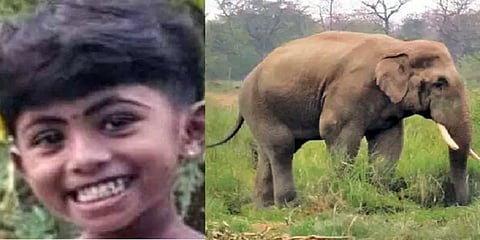 திருச்சூர்: காட்டு யானை தாக்கி 5 வயது சிறுமி உயிரிழப்பு; 2 பேர் படுகாயம்