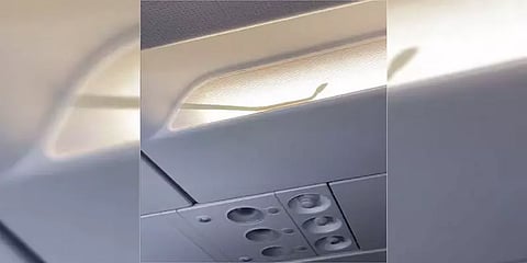 பறந்து கொண்டிருந்த விமானத்தில் பாம்பு: அவசரம் கருதி தரையிறக்கப்பட்ட விமானம்