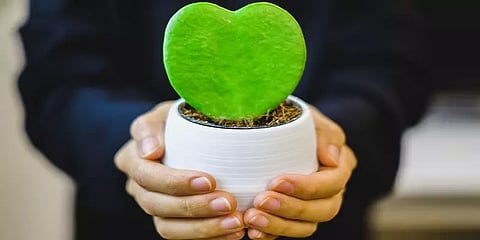 “நிலா.. வீட்டு சமையல்.. பூக்கள்..பாரம்பரிய கிப்ட்”- காதலர் தினத்தை இப்படியும் கொண்டாடலாமே!