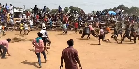 சிங்கம்புணரி மஞ்சுவிரட்டு - மாடு முட்டி பார்வையாளர் சம்பவ இடத்தில் பலி