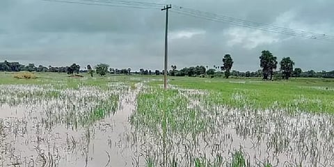 டெல்டா மாவட்டங்களில் நாளை முதல் மீண்டும் மழைக்கு வாய்ப்பு