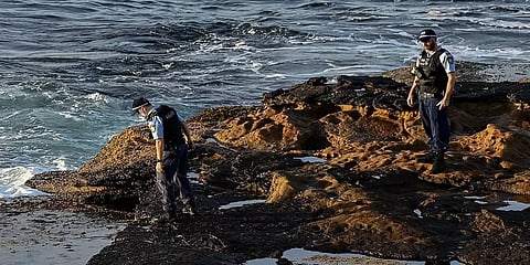 சிட்னியில் அதிர்ச்சி சம்பவம் - கடற்கரையில் நீந்தியவரை கடித்துக் குதறி இழுத்து சென்ற சுறா