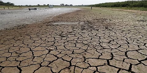 பராகுவேவில் 10 ஆண்டுகளில் இல்லாத அளவிற்கு வறட்சி