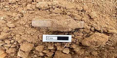 கீழடியில் செவ்வக வடிவில் தந்தத்தினால் ஆன பகடைக்காய் கண்டுபிடிப்பு!