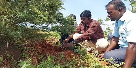 ஸ்ரீவில்லிபுத்தூர் அருகே கல்திட்டைகள், முதுமக்கள் தாழிகள் கண்டுபிடிப்பு