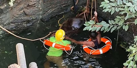 'கிணற்றில் விழுந்த கன்றுக்குட்டி!' - சிவகார்த்திகேயன் படம் போல நடந்த மீட்புப் பணி