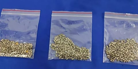 'புர்கா'வில் மறைக்கப்பட்ட தங்கம்: விமான நிலையத்தில் சிக்கிய பெண் !