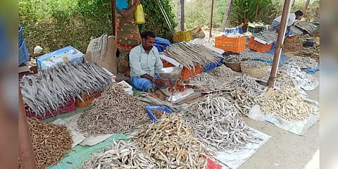 எளியோரின் வலிமைக் கதைகள் 20: கருவாடு விற்பவர்களின் வாழ்க்கையில் வசந்தம் எப்போது?