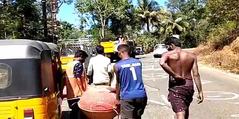 கூடலூர்: தெருவில் சென்றவர்களை துரத்தித் துரத்தி கடித்துக் குதறிய வெறிநாய்