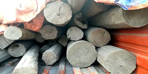 'புஷ்பா' பட பாணியில் பதுக்கி வைக்கப்பட்டிருந்த செம்மரக்கட்டைகள் - சென்னை போலீஸ் அதிரடி