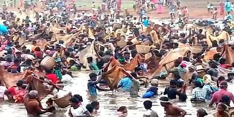 மதுரை: களைகட்டிய பாரம்பரிய மீன்பிடித் திருவிழா; ஆயிரக்கணக்கானோர் பங்கேற்பு