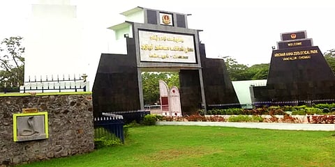 வண்டலூர் பூங்காவில் உயிரினங்களை பராமரிப்பதில் ஏற்பட்ட சிக்கல்: துரித நடவடிக்கை எடுத்த அரசு
