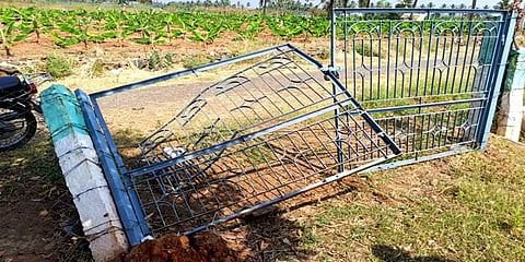 சத்தியமங்கலம்: கிராமத்திற்குள் புகுந்து வாழை மரங்களை சேதப்படுத்திய காட்டு யானைகள்