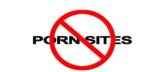 "ஆபாச வலைதளங்களே பாலியல் வன்கொடுமைகளுக்கு காரணம்" - ராஜஸ்தான் அமைச்சர்