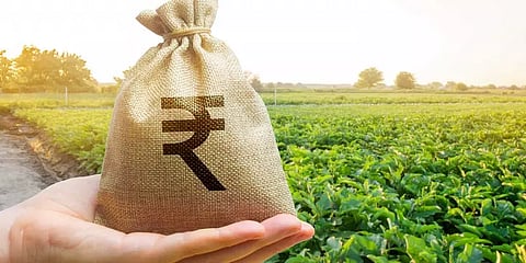 விவசாயிகளின் எதிர்பார்ப்பு பட்ஜெட்டில் பூர்த்தியாகுமா?