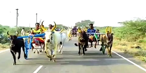 உருட்டி, மிரட்டி ஓட்டிய வீரர்கள் - தடதடவென தாவி ஓடி பரிசுகளை வென்ற மாடுகள்