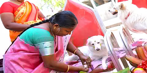 வளர்ப்பு நாய்க்கு வளைகாப்பு: வலைதளங்களில் வைரலாகும் வீடியோ!