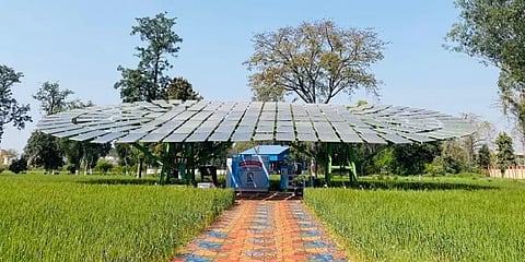 மிகப்பெரிய சோலார் மரத்தை உருவாக்கி கின்னஸ் சாதனை: எங்கே தெரியுமா?