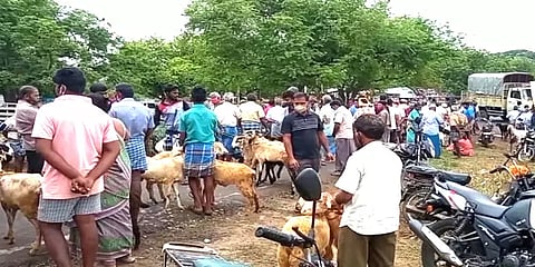 பங்குனி பொங்கல் விழா: புஞ்சைபுளியம்பட்டி சந்தையில் ஆடு விற்பனை அமோகம்