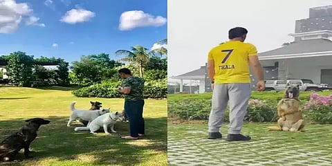 'எல்லோரும் வாங்க வீட்டை பாருங்க' தோனி எடுத்த திடீர் முடிவு - என்ன காரணம்?