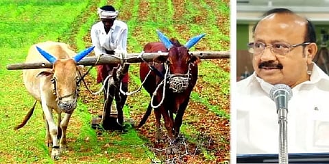 வேளாண் பட்ஜெட்டில் இயற்கை விவசாயத்தை ஊக்குவிக்கும் அறிவிப்புகள் என்ன? - முழு விவரம்