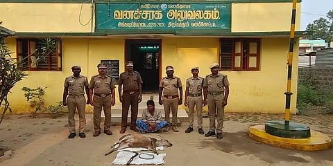 கிருஷ்ணகிரி: கேலை ஆட்டை வேட்டையாடிய ஒருவர் கைது; ஒருவர் தப்பியோட்டம்