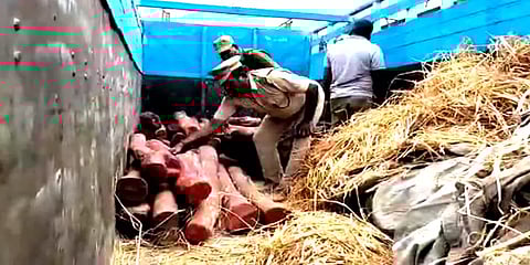 உத்தரப்பிரதேச மாநில லாரியில் கடத்தி வரப்பட்ட 3 டன் செம்மரக்கட்டைகள் பறிமுதல்