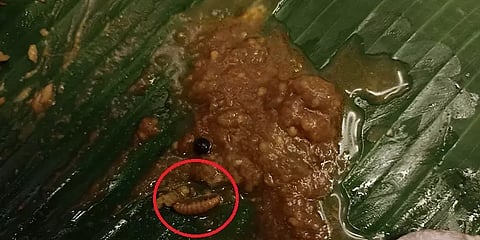 சாம்பாரில் புழு இருந்ததாக கூறி பிரபல பிரியாணி கடையில் பணம் பறிக்க முயன்றதாக 6 பேர் கைது