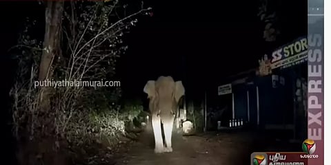 கேரளா: காரில் வந்தவர்களை துரத்தி தாக்க முற்பட்ட ஒற்றை காட்டு யானை