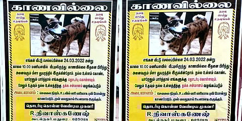 என்னது வரிப்புலியை காணவில்லையா? மதுரையில் ஒட்டப்பட்ட போஸ்டரால் சலசலப்பு