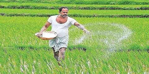 கட்டாயப்படுத்தி விவசாய இடுபொருட்களை விற்றால் நடவடிக்கை - அரசு எச்சரிக்கை