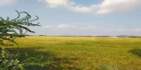 ‘400 ஏக்கர் பயிர்களும் கருகிவிடும்’- தண்ணீருக்காக கண்ணீருடன் காத்திருக்கும் விவசாயிகள்