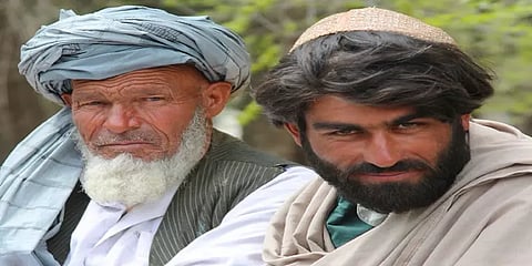 ஆப்கனில் ஆண்கள் தாடியில்லாமல் அலுவலகத்துக்கு செல்லக் கூடாது - தலிபான் அரசு உத்தரவு